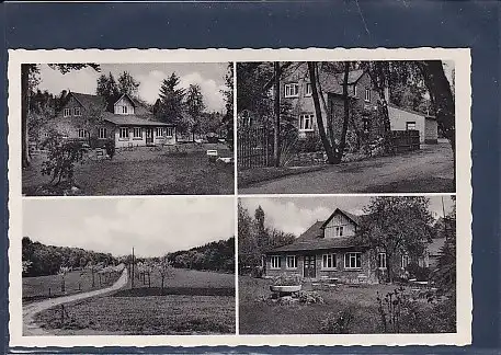 AK Gruß aus Waldesruh Harrendorf ü. Bremerhaven 1950