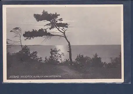 AK Seebad Misdroy Ausblick vom Kaffeeberg 1929