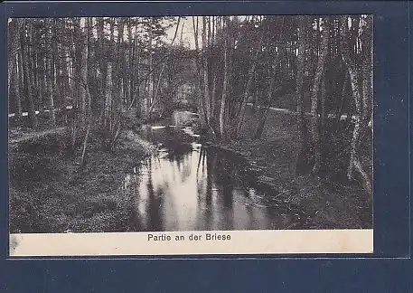 AK Partie an der Briese Gruß aus Summt bei Mühlenbeck 1930