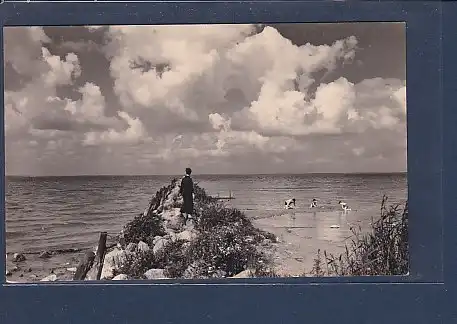 AK Boek / Müritz Die Steinmole 1964