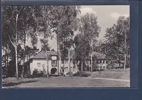 AK Pionierrepublik W. Pieck Altenhof - Werbellinsee 1950