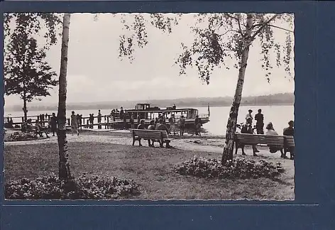 AK Altenhof Werbellinsee Promenade 1960