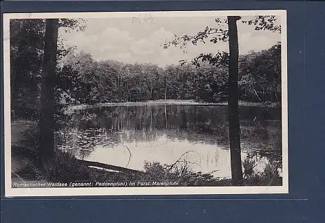 AK Romantischer Waldsee ( genannt: Paddenpfuhl) im Forst Maienpfuhl 1930