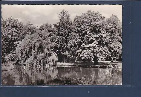 AK Teich in Drebkau Ortsteil Raakow 1959