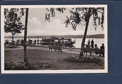 AK Altenhof Werbellinsee Promenade 1955