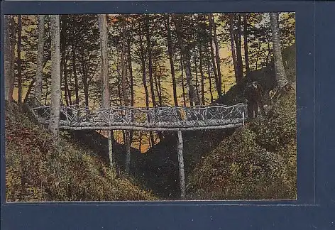 AK Flensburger Föhrde Schlucht bei Hollund 1920