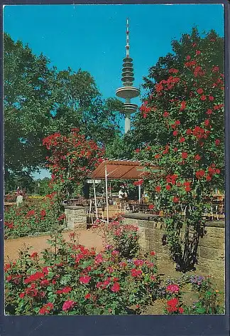 [Ansichtskarte] AK Hamburg Planten und Blomen Rosenhof und Fernsehturm 1970. 