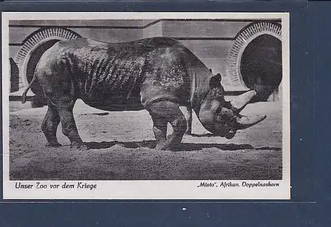 [Ansichtskarte] AK Unser Zoo vor dem Krieg Mtoto Afrikan. Doppelnashorn 1940. 