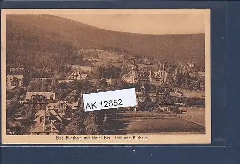 [Ansichtskarte] AK Bad Flinsberg mit Hotel Berl. Hof und Kurhaus 1929. 