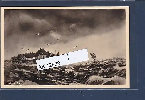 [Ansichtskarte] AK Hallig im Sturm 1940. 