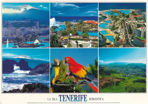 944 - Spanien - Kanarische Inseln , Teneriffa , Puerto de La Cruz , Lago Martianez , Tiere - gelaufen 1996