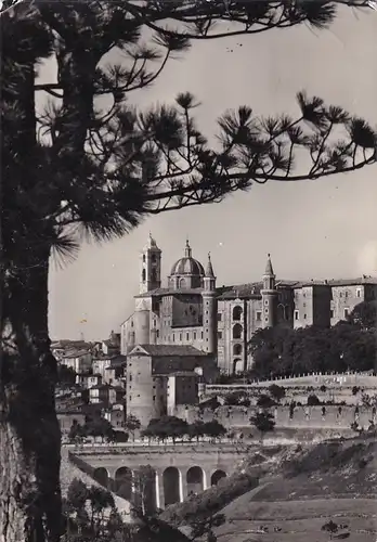 1664 - Italien - Urbino , Scorcio Panoramico , Panorama - gelaufen