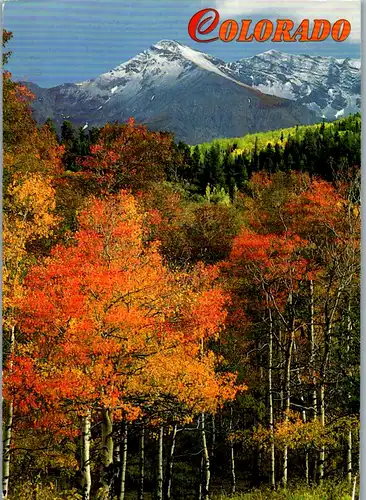 5606 - USA - Colorado , Rocky Mountain - gelaufen 1996