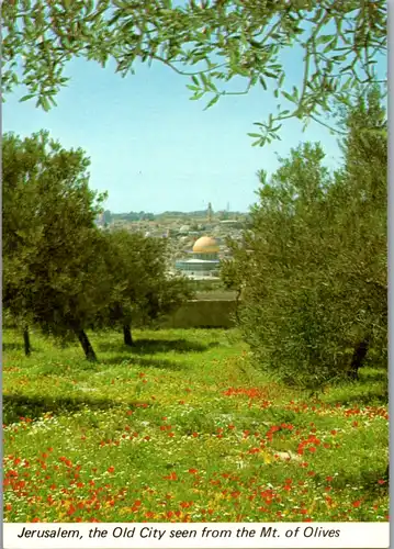 5653 - Israel - Jerusalem , Old City seen from the Mount of Olives - nicht gelaufen