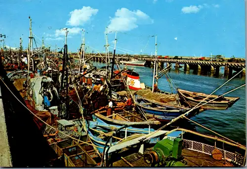 6920 - Portugal - Matosinhos , Preparativos para a faina da pesca , Fischer - nicht gelaufen