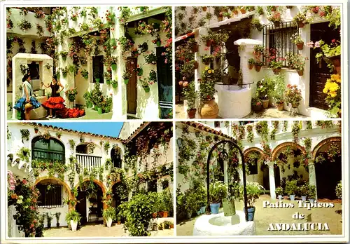 8382 - Spanien - Andalucia , Patios típicos - gelaufen