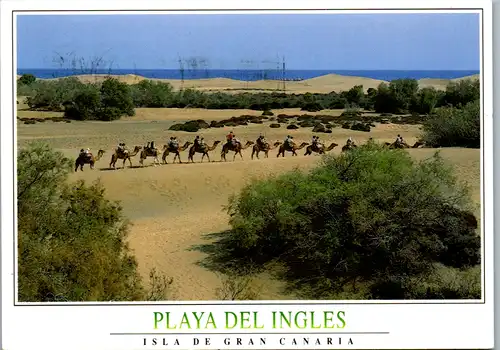 8384 - Spanien - Maspalomas , Playa del Ingles , Gran Canaria , Karawane - gelaufen 1995