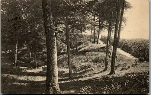 9063 - Deutschland - Blocksberg , Die Buchheide , Feldpost - gelaufen 1918