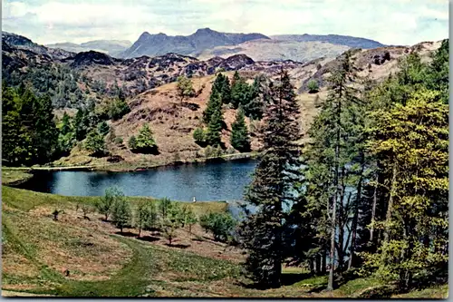 10761 - Großbritannien - Langdale Pike from Tarn Hows - nicht gelaufen