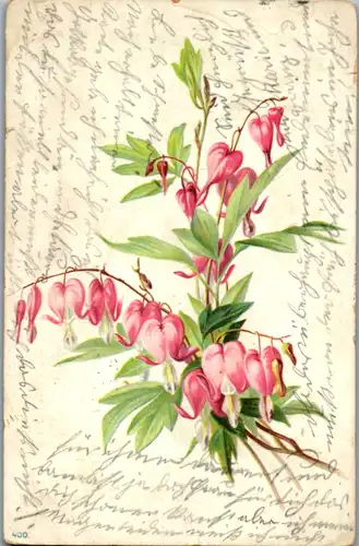 11466 -  - Blumen , Lithografie , Calderara & Bankmann - gelaufen 1907