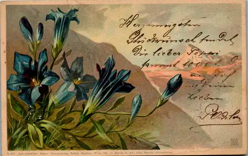 11467 -  - Blumen , Aus unseren Alpen - gelaufen 1904