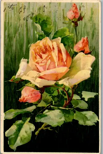 14062 -  - Rosen - gelaufen 1910