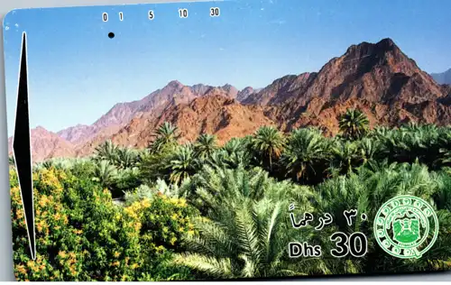 15239 - Vereinigte Arabische Emirate - Palmen