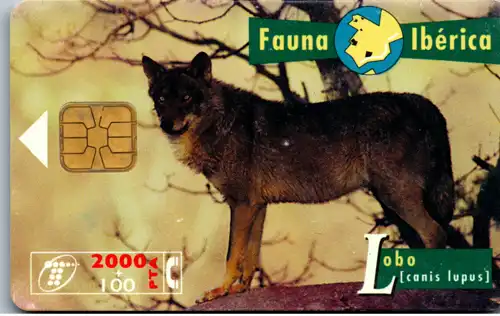 16609 - Spanien - Fauna Iberica , Lobo