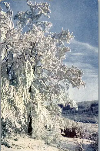 33999 - Künstlerkarte - Winterlandschaft - nicht gelaufen