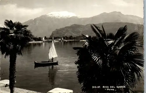 34754 - Italien - Riva del Garda , Palme - nicht gelaufen