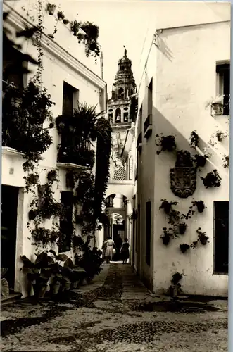 34857 - Spanien - Cordoba , Vista de la calleja de las Flores - nicht gelaufen