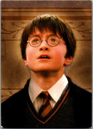 40744 - Karten zum Sammeln - Harry Potter , Panini , Evolution Trading Card , 2 , Friends for Life