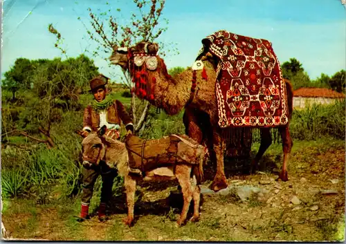 45515 - Türkei - Alanyada Deve , Kamel , Camel , Esel - gelaufen 1970