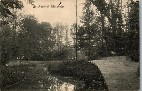 46011 - Niederlande - Winschoten , Boschgezicht - gelaufen 1911