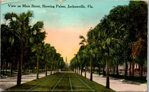 46035 - USA - Jacksonville , View on Main Street , Showing Palms , Florida - gelaufen 1914