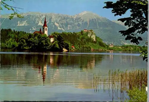 47628 - Slowenien - Bled , Panorama - gelaufen