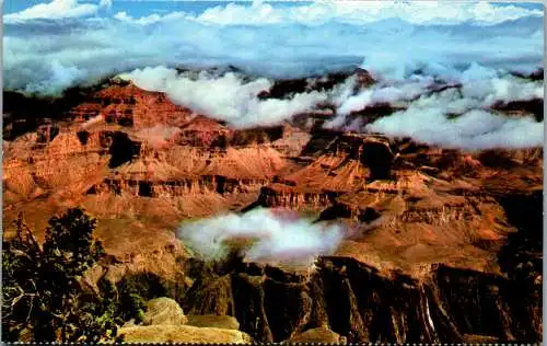 48153 - USA - Grand Canyon , National Park , Arizona - nicht gelaufen