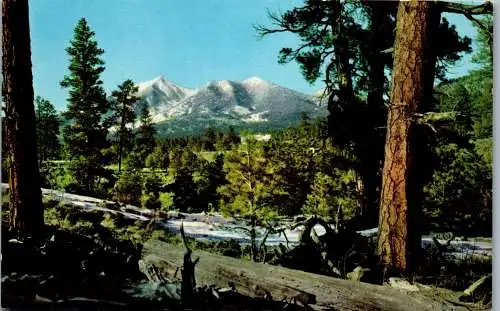 48154 - USA - Flagstaff , San Francisco Peaks , Arizona - nicht gelaufen