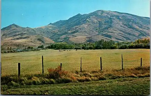 48202 - USA - Nevada , Mountains and Meadows - nicht gelaufen