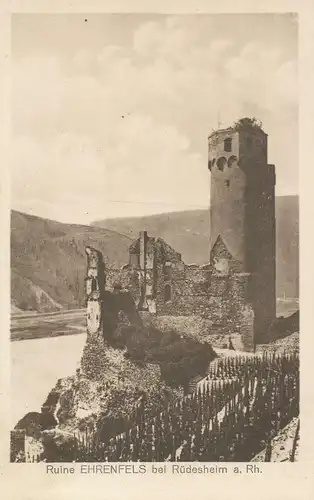 Burgruine Ehrenfels in Rüdesheim am Rhein ngl 136.057