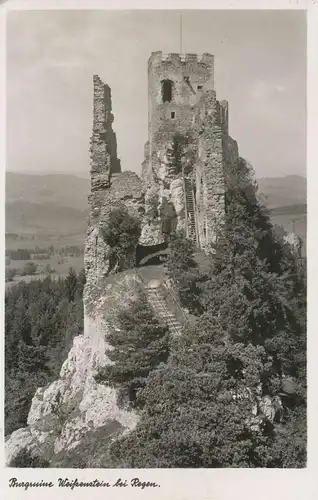 Burgruine Weißenstein bei Regen ngl 135.978