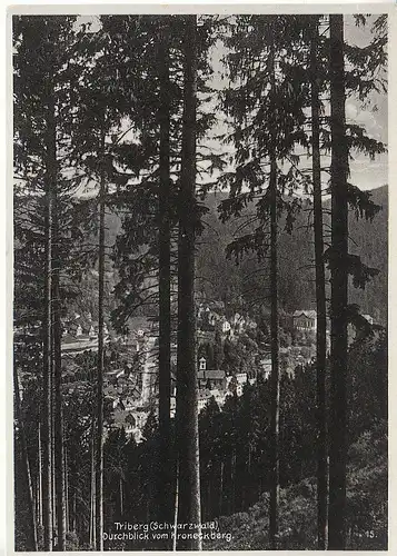 Triberg Schwarzwald vom Kroneckberg ngl C8420