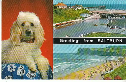 Greetings from Saltburn Mehrbildkarte ngl C6596