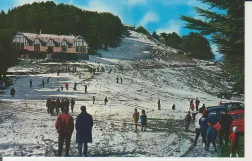 Algerien: Chrea - Piste de ski et restaurant du Ski Club ngl 223.542