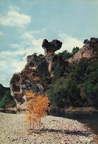 Les Gorges du Tarn, Le "Champignon" ngl D9938