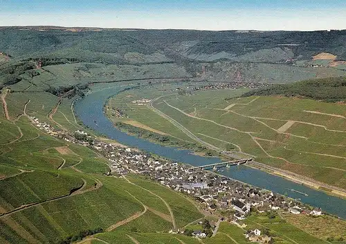 Reil an der Mosel, Luftbild ngl E3159