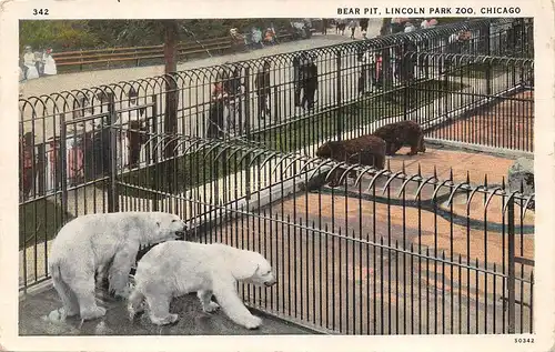 Chicago IL Bear Pit Lincoln Park gl1929 163.985