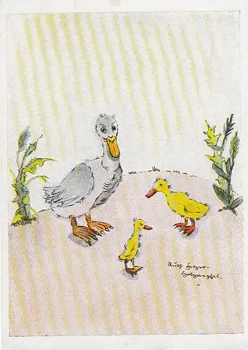 Tiere: Ente mit Nachwuchs ngl E3912