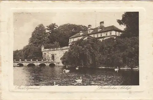 Bad Pyrmont. Fürstliches Schloss gl1924 E8514