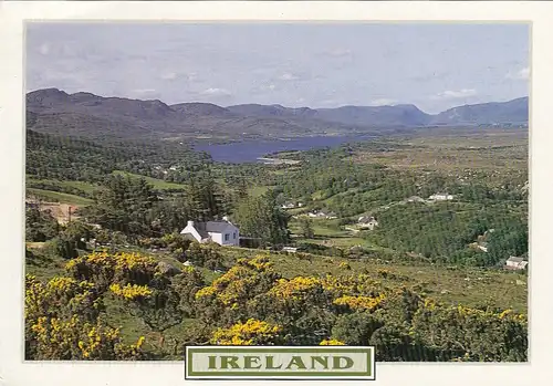 Irland's Beauty glum 1990 F3300